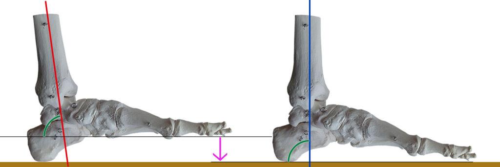 膝を曲げたほうがフォアフット接地しやすい