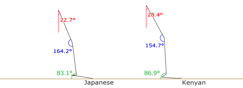 ケニア人と日本人の下腿の角度