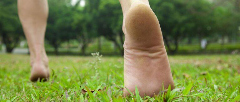 強豪大学もベアフットランの効果を認めている